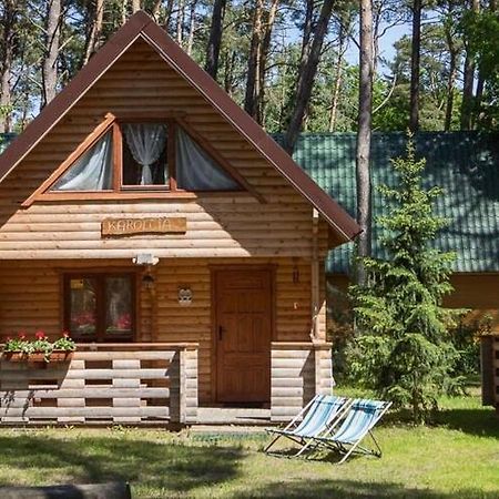 Spacious Holiday Homes Near The Beach In Pobierowo Luaran gambar
