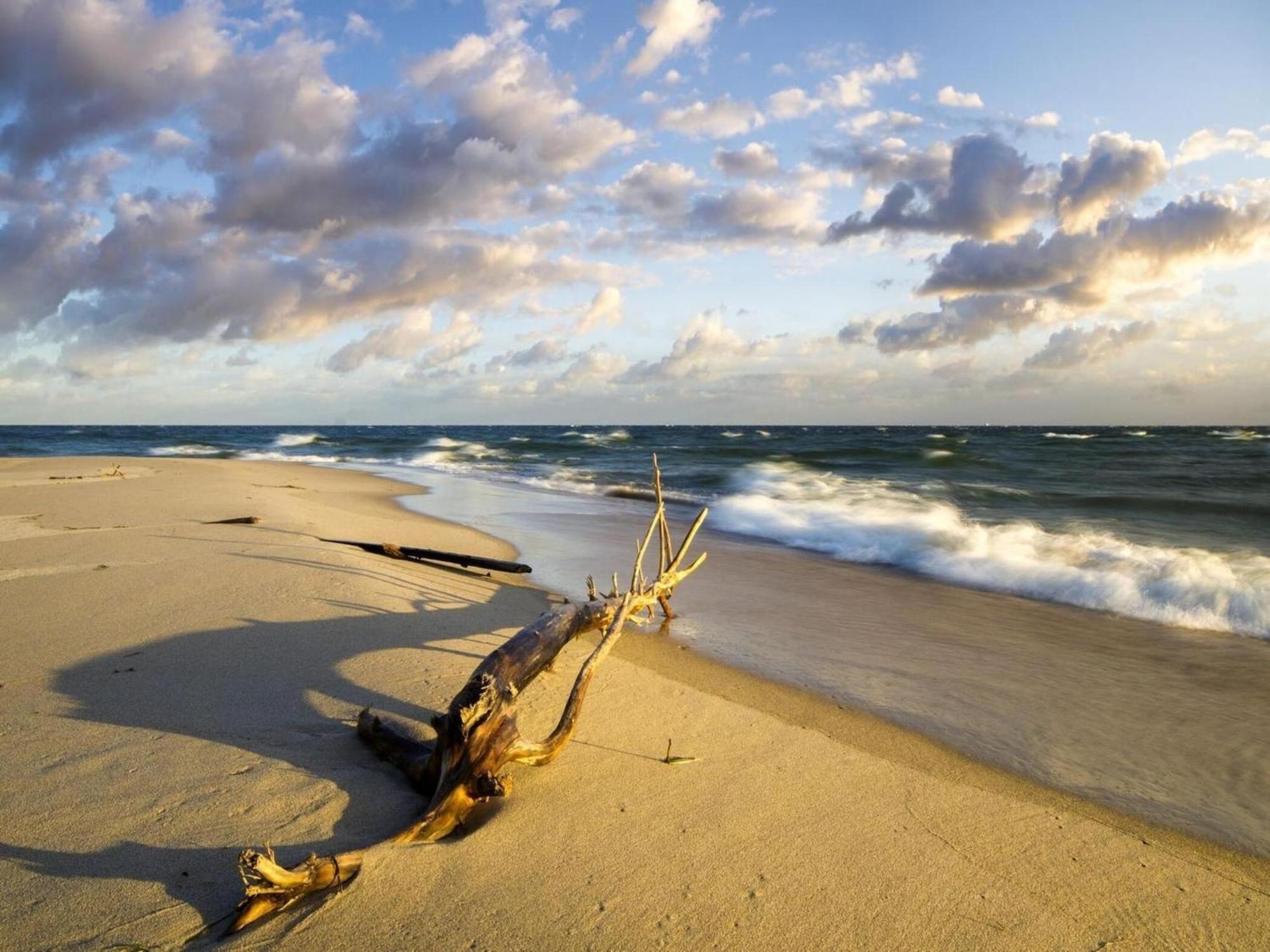 Spacious Holiday Homes Near The Beach In Pobierowo Luaran gambar